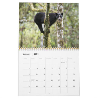 Andes Beren II -15 maands kalender 1/2012 - 3/2013