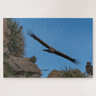 Andes condor in Colca Canyon, Peru Legpuzzel