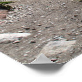 Andes Range, Patagonia Poster (Hoek)