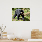 Andesbeer dat op het briefkaart T-Shirt Coff van g Poster (Keuken)