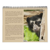 AndesBeren 2012 - kalender met 15 maanden (Achterkant)