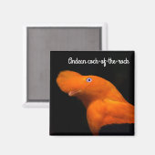 Andescock-of-the-rock Magneet (Voorkant / Achterkant)