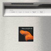 Andescock-of-the-rock Magneet (Insitu (Vaatwasser))