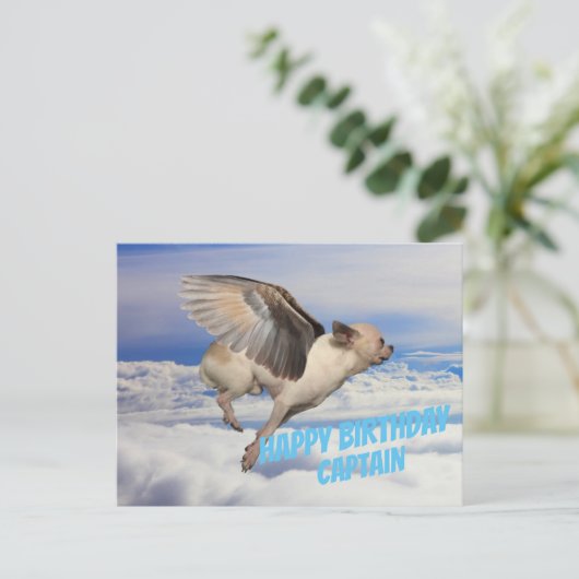 Andeskaart voor vliegtuigpiloot briefkaart (Staand voorkant)