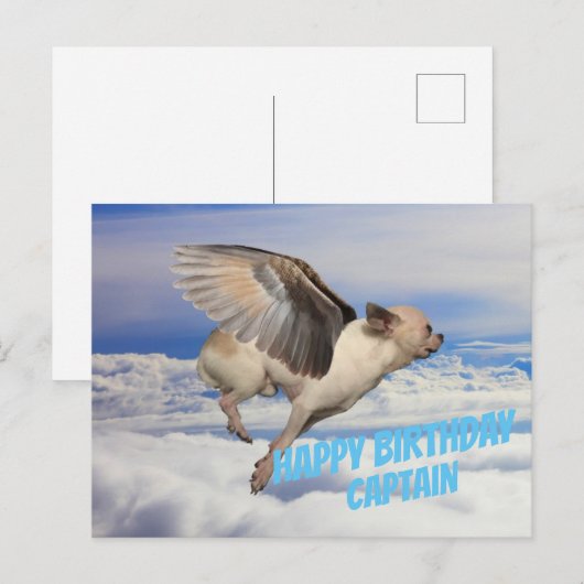 Andeskaart voor vliegtuigpiloot briefkaart (Voorkant / Achterkant)