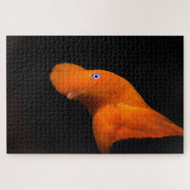 Andesrotskeelkliphoen Legpuzzel