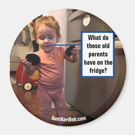 Andi Fridge Inspection Magneet (Voorkant)