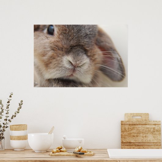 Andorra de bunny: Stare Poster (Keuken)