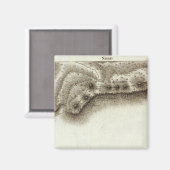 Andorra Magneet (Voorkant / Achterkant)