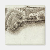 Andorra Magneet (Voorkant)