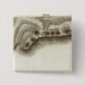 Andorra Vierkante Button 5,1 Cm (Voorkant)