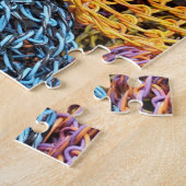 Andrea DuFlon, floribunda veeletala Legpuzzel (Zijkant)