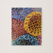 Andrea DuFlon, floribunda veeletala Legpuzzel (Verticaal)