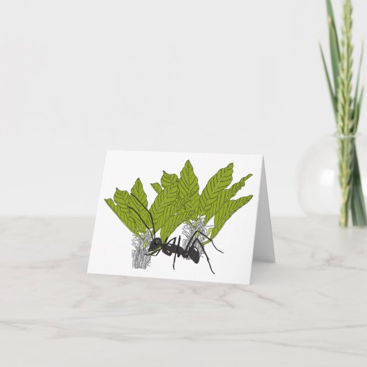 Andrew de mier kaart (Voorkant)