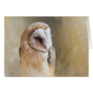 Andrew Denman Barn Owl Blank Card