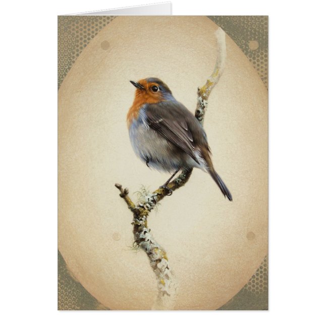 Andrew Denman European Robin Blank Card (Voorkant)