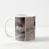 Andrew Denman Moose Mok (Links)