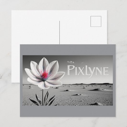 Andrew Goodchild Post Card Briefkaart (Voorkant / Achterkant)