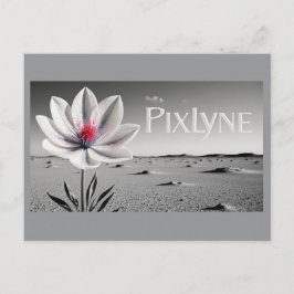 Andrew Goodchild Post Card Briefkaart