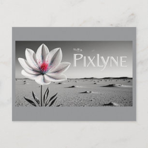Andrew Goodchild Post Card Briefkaart