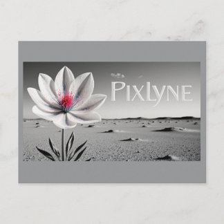 Andrew Goodchild Post Card Briefkaart