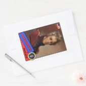 Andrew Jackson Baseball Card Rechthoekige Sticker (Envelop)