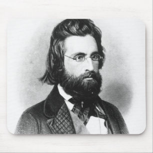 Andrew Jackson Muismat