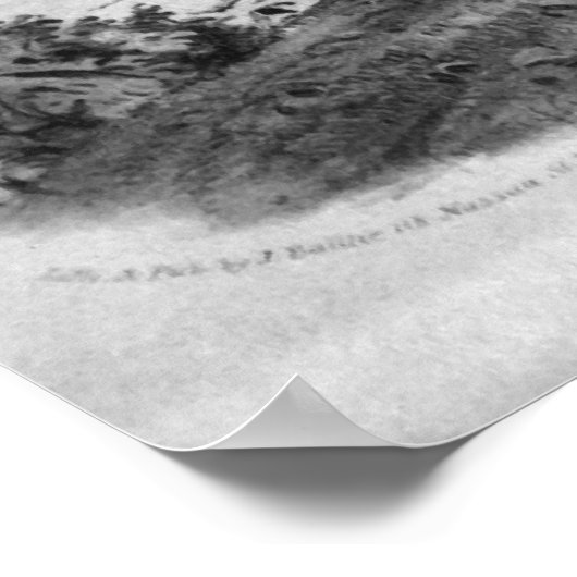 Andrew Jackson Poster (Hoek)