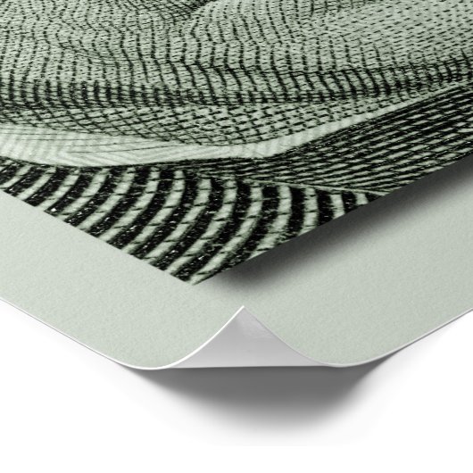 Andrew Jackson Poster (Hoek)