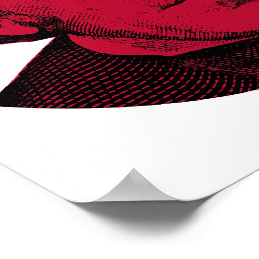 Andrew Jackson Red, White en Blue Poster (Hoek)