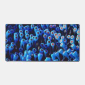 Androecia Bureaumat (Voorkant)