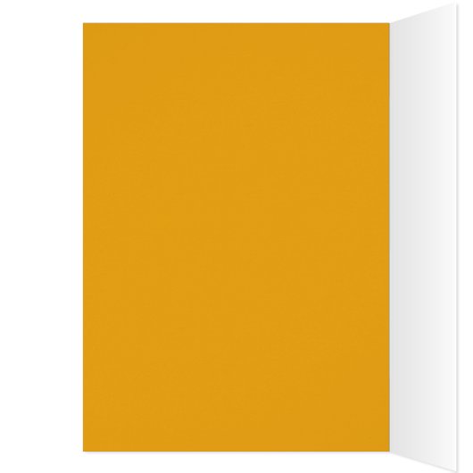 Android Dreams 2049 (Binnen (Links))