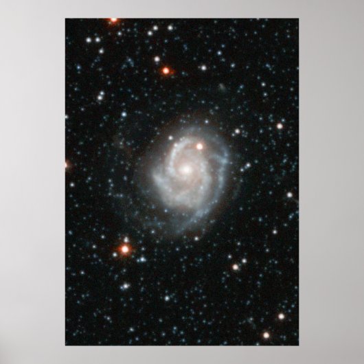 Andromeda Galaxy Halo Poster (Voorkant)