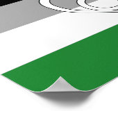 Androphilia Pride-vlag en symbool Poster (Hoek)
