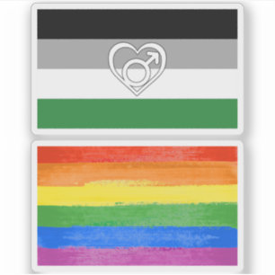 Androphilia Pride-vlag en symbool Sticker
