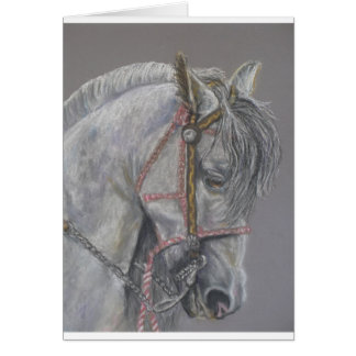 Andualusiaanse paardenkaart