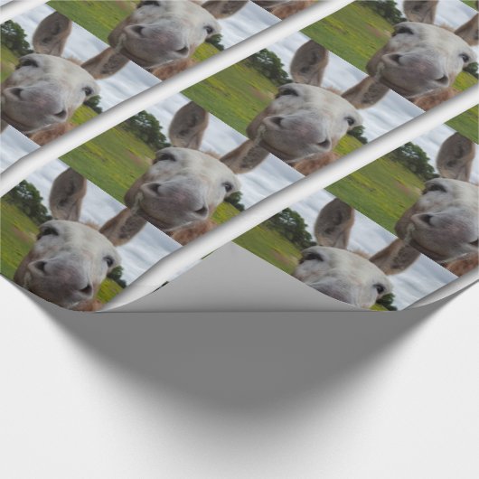 Andy Cadeaupapier (Hoek)