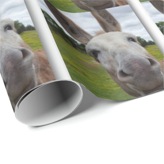 Andy Cadeaupapier (Rol Hoek)