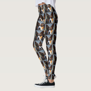 Andy de Australische blauwe heler, Leggings
