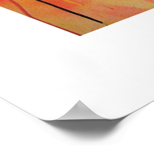 Andy Howell Posters (Hoek)