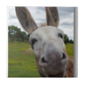 Andy Tegeltje (Voorkant)