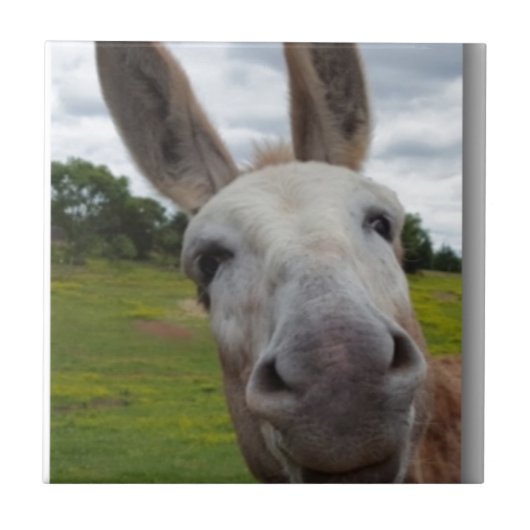 Andy Tegeltje (Voorkant)