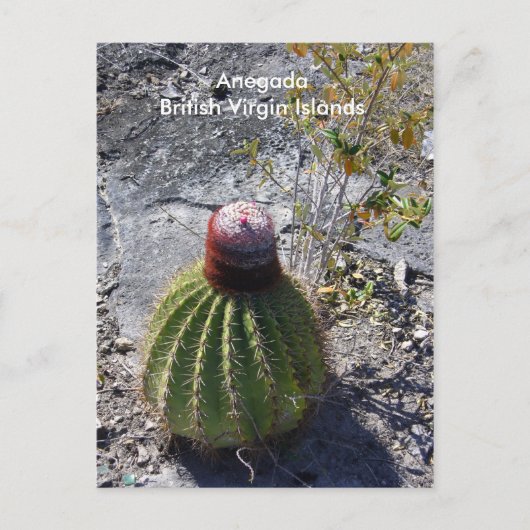 Anegada BVI Briefkaart (Voorkant)
