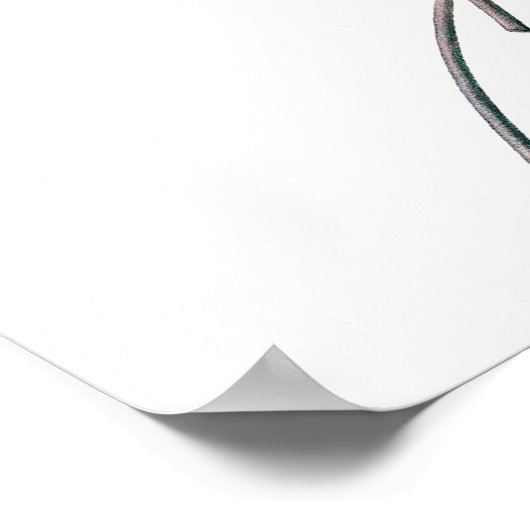  anemie poster (Hoek)