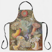 Anemone Apron Schort (Voorkant)