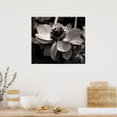 Anemone Black en White Floral photography Poster (Keuken)