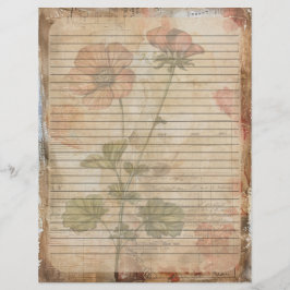 Anemone Bloem Oud Manuscript Briefhoofd