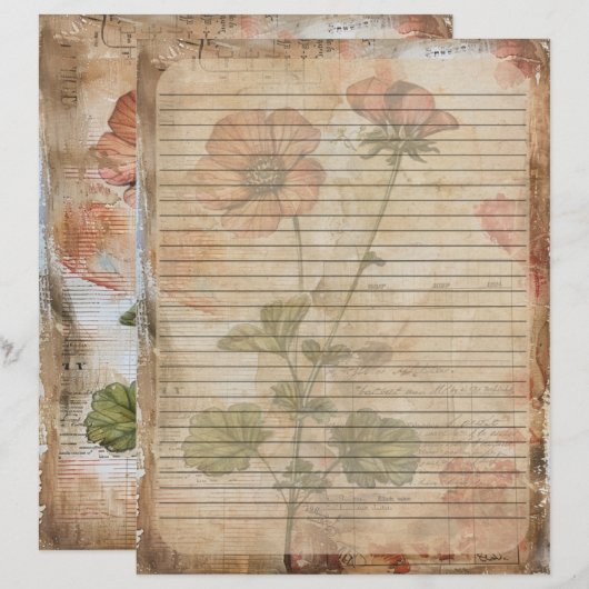 Anemone Bloem Oud Manuscript Briefhoofd (Voorkant / Achterkant)