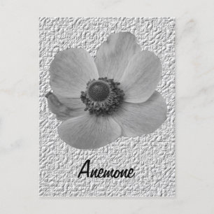   Anemone Briefkaart