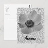   Anemone Briefkaart (Voorkant / Achterkant)